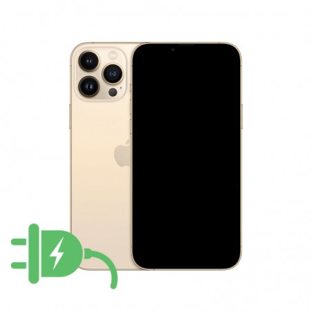 Reparar Conector De Carga iPhone 13 Pro Max